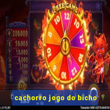 cachorro jogo do bicho